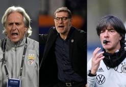 Fenerbahçe'de yeni hoca, yeni umutlar