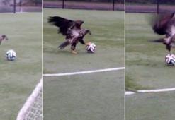 Kartal sahaya indi!