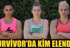 Kim elendi survivor? İşte Survivor'da yeni takımlar! Survivor'da kim elendi?