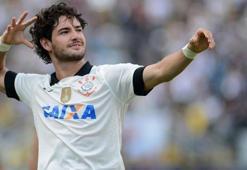 Son bomba Pato