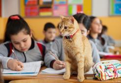 Öğrenciler 'Tombi'ye kavuştu