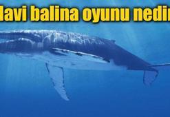 Mavi balina oyunu nedir? Mavi balina oyunu nasıl engellenir?