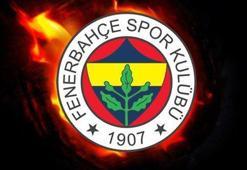 Fenerbahçe PFDK'ya başvurdu