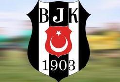 Gurbetçi avı