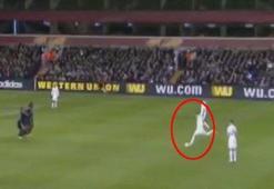Bale'den inanılmaz frikik