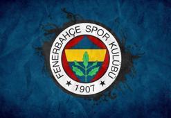 Fenerbahçe'nin muhtemel 11'i