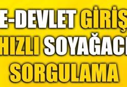 Soyağacı öğrenme çok kolay! Edevlet giriş Alt-üst soy bilgisi