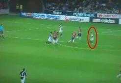 Marco Rojas'tan müthiş gol