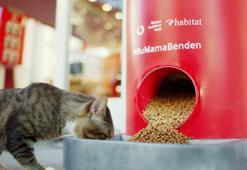 Tweet'le mama veren makineler Türkiye geneline yayıldı