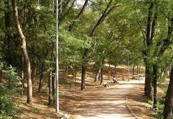 Maçka Parkı neden kapatıldı? Ağaçlar işaretleniyor...