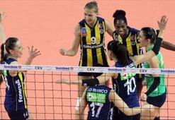 Fenerbahçe Grundig 3-1 Azeryol Bakü