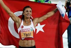 Nevin Yanıt Survivor yolcusu