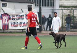 Amatör Lig'de davetsiz misafir