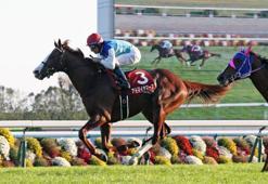 70. Futurity Stakes'i ADMIRE MARS kazandı