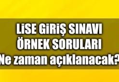 MEB açıkladı | 2017 Lise yerleştirme sınavı örnek sorular açıklandı - MEB Giriş...