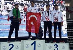 Vanlı sporculardan 2 altın ve 5 gümüş madalya