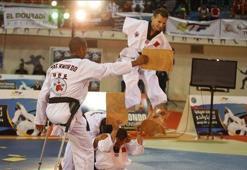 Avusturya Açık Taekwondo Turnuvası sona erdi