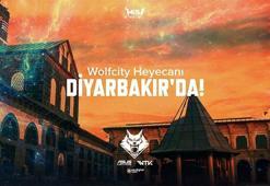 Wolfcity turnuvalarının yeni durağı Diyarbakır