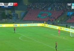 Yeni Zelanda-Türkiye maçında davetsiz misafir