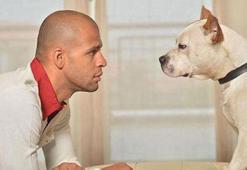 Melo'nun köpekleri hız kesmiyor!