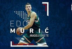 Edo Muric, Anadolu Efes'te