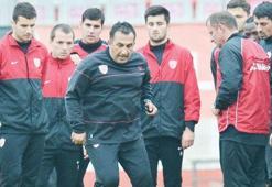 Yalova'dan ilginç saptamalar