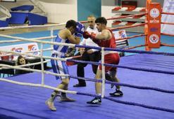 Büyük Erkekler Türkiye Ferdi Boks Şampiyonası Ağrı'da başladı