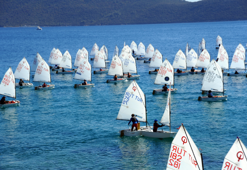 Optimist Milli Takım Kampı, Bodrum'da yapılacak