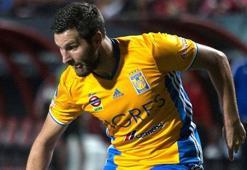 İşte Andre Pierre Gignac'ın istatistiği
