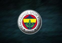 Edin Visca yorumu: Fenerbahçe için lüks olur