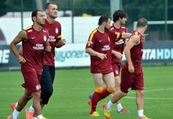 Aslan sahaya iniyor