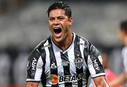 Son dakika FB transfer haberi! Fenerbahçe'de yılın bombası! Pereira aradı, "Gelirim" dedi!