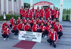Yıldızlar Avrupa Boks Şampiyonası Tiflis'te başlıyor
