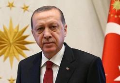 Cumhurbaşkanı Erdoğan, Filenin Sultanları'nı tebrik etti