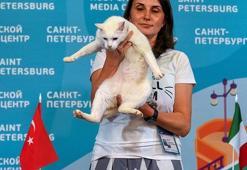 Achilles'den doğrutahmin!