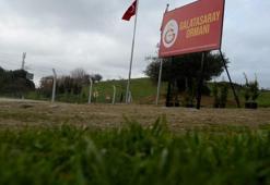Adana'da Fatih Terim Hatıra Ormanı'na fidan dikildi