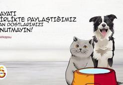 Galatasaray:'dan anlamlı paylaşım!