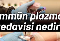 İmmün plazma tedavisi nedir, nasıl yapılır? İmmün plazma tedavisi devlet karşılıyor mu?