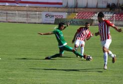 Nevşehir Belediyespor - Osmaniyespor maç sonucu: 0-1