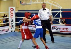 Minik boksörler madalya için ringe çıktı