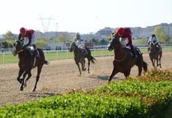 Bursa at yarış tahminleri - Şair Gençero'nun yorumları