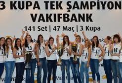 Gövde gösterisi