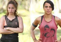 Survivor 2017 yarışmacıları nereli?