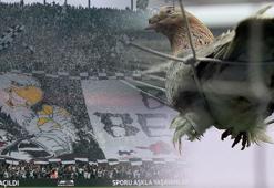 Beşiktaş - Fenerbahçe maçından kareler! Herkesi şaşırtan görüntü...