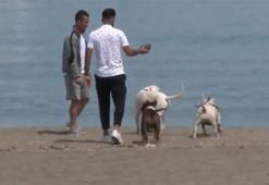 Trabzonsporlu yıldızların Pitbull sevgisi!
