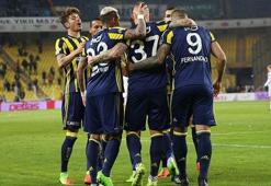 Kanarya ‘yarım dalya' peşinde