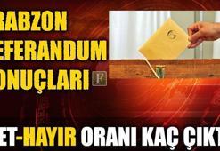 Trabzon referandum sonuçları (2017 Trabzon Evet-Hayır oranları)