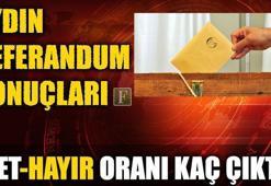 Aydın referandum sonuçları 2017 (Aydın Evet-Hayır oranı kaç çıktı?)