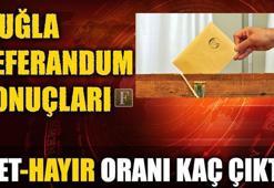 Muğla referandum sonuçları (2017 Muğla seçim sonuçları)