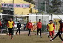 Tavşanlı'nın hedefi Boluspor